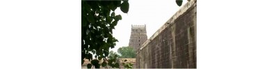 33. திருவைகுந்த விண்ணகரம்